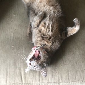 Meet your Posher, Kristen